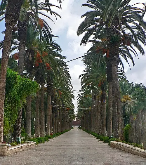 View of Rishon LeZion