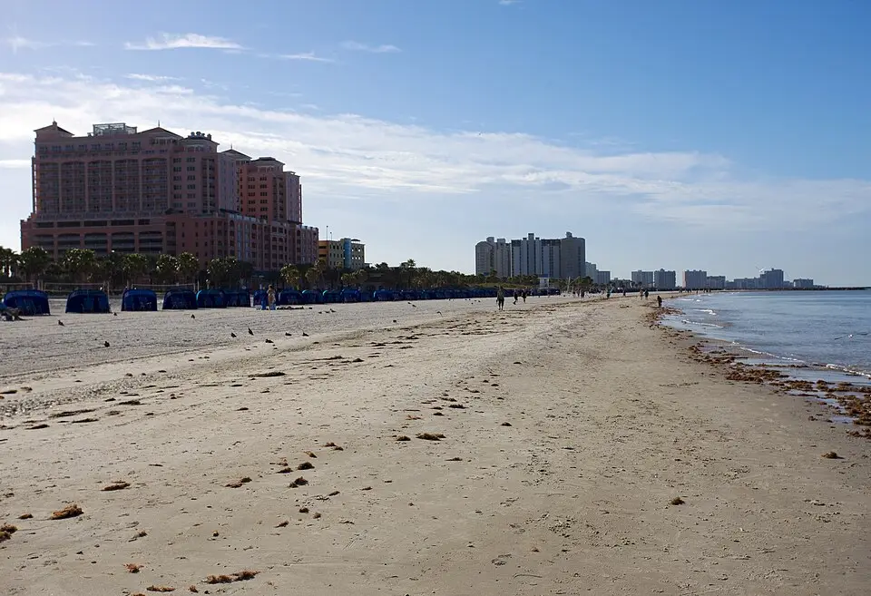 View of Clearwater