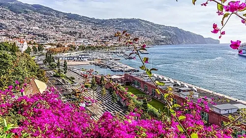 View of Funchal