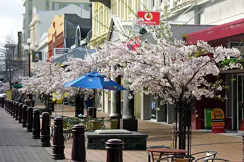 View of Invercargill